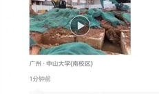 广东学校爆料视频最新,揭秘校园内幕